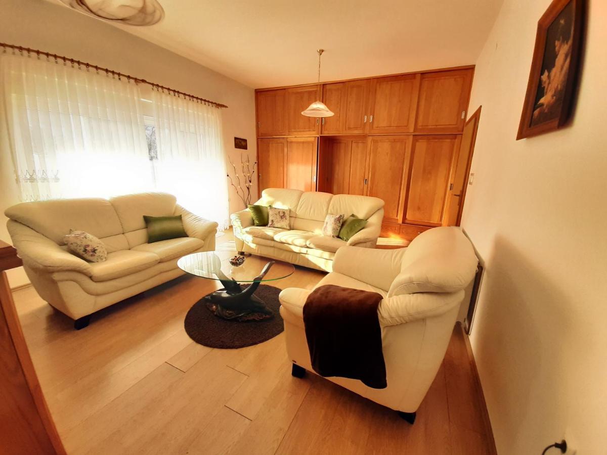 Apartment Gorska Vila Ogulin Buitenkant foto